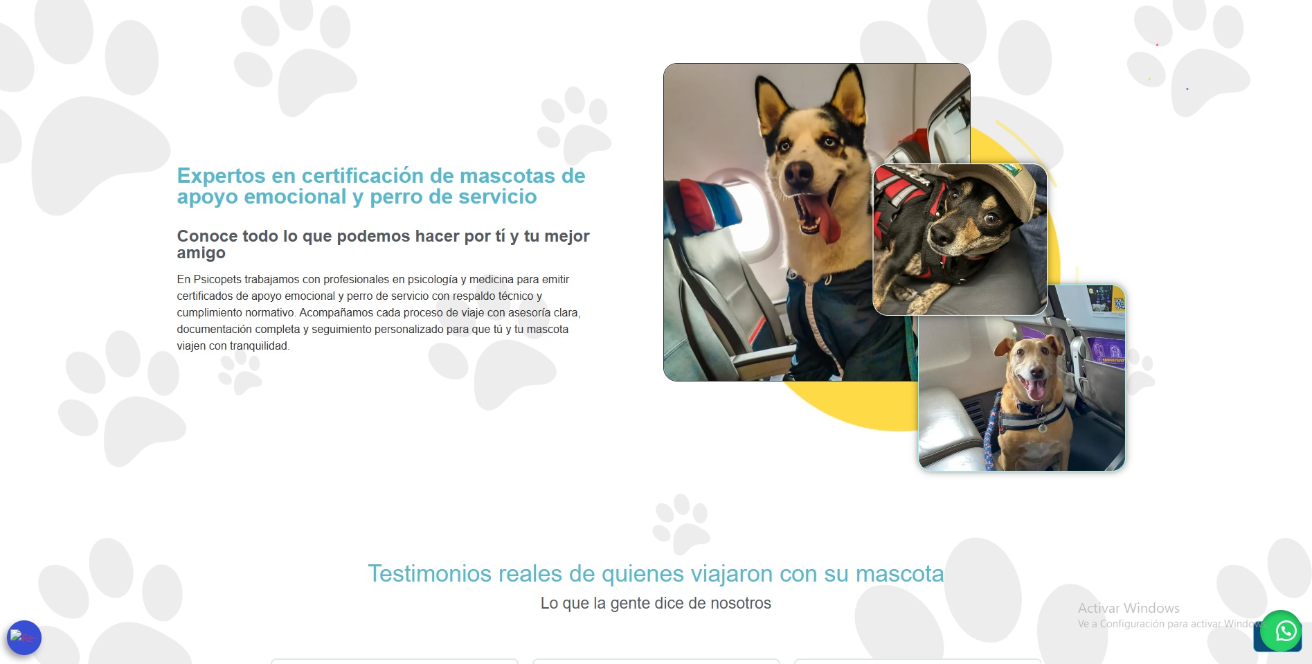 Diseño web Psicopets — psicología y comportamiento animal mascotas