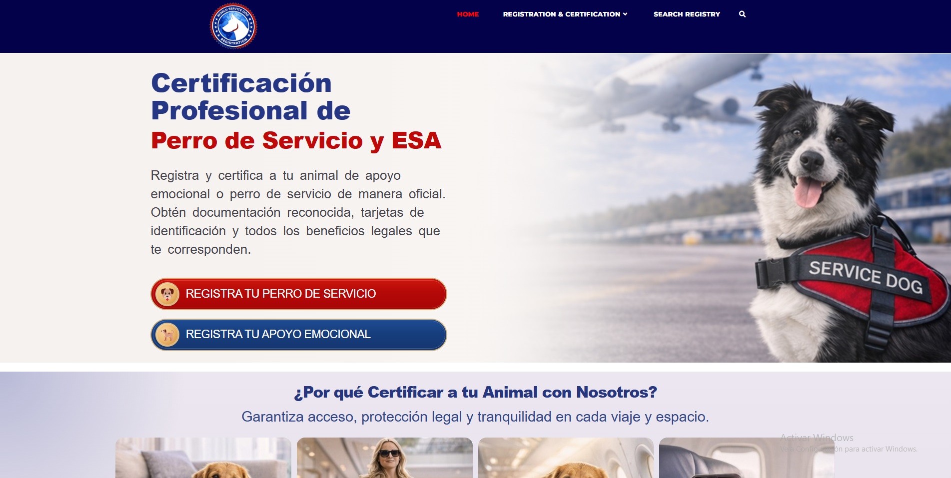 Diseño web World Service Dog Registry — registro internacional perros de servicio